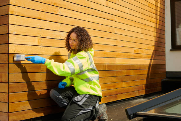 Best Siding Painting and Refinishing  in Pearl River, LA